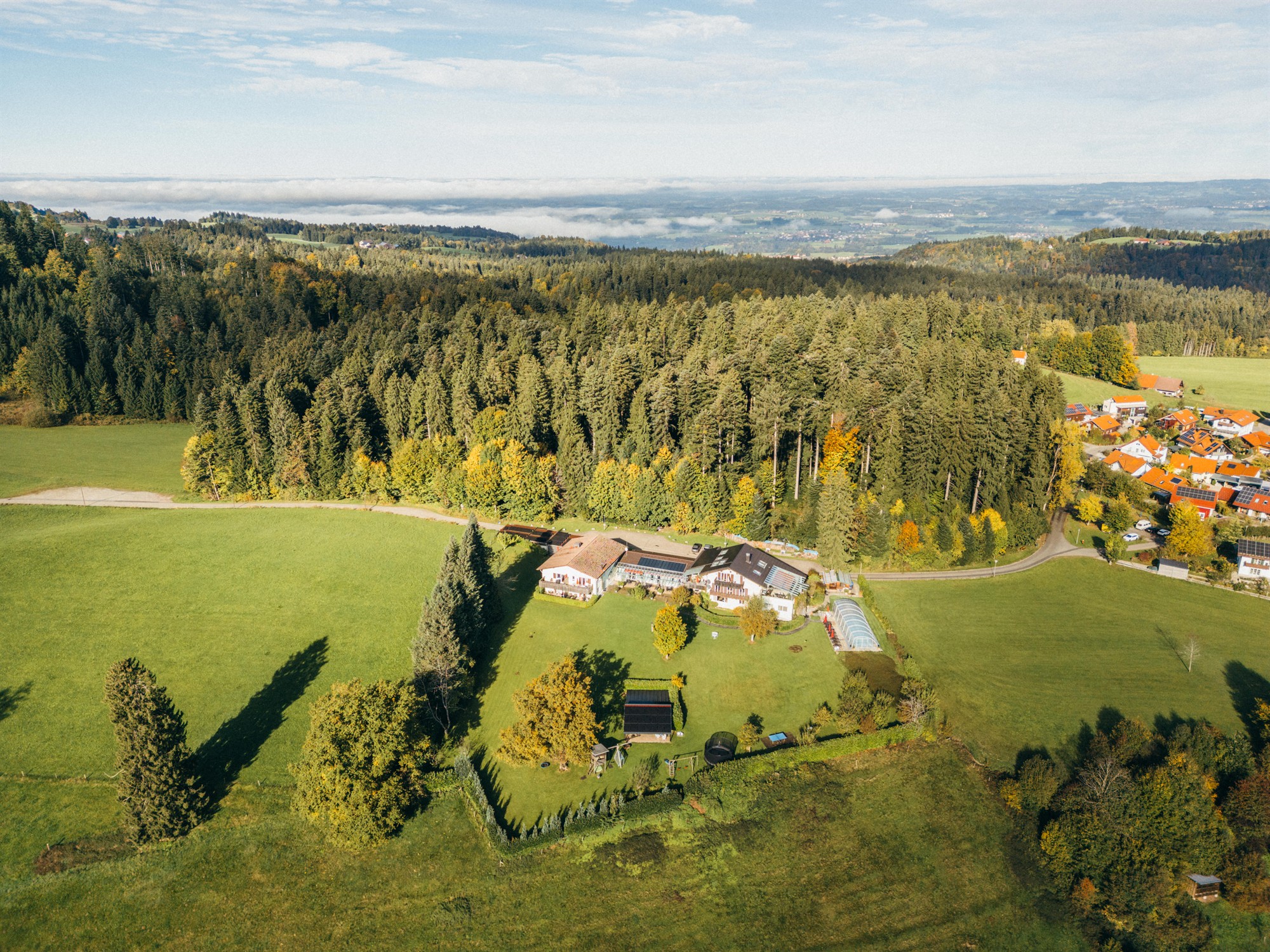 Luftaufnahme: Bergwald Panorama Suiten über Scheidegg